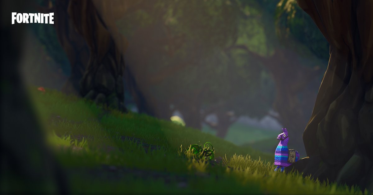 Supply Llamas- What you need to know