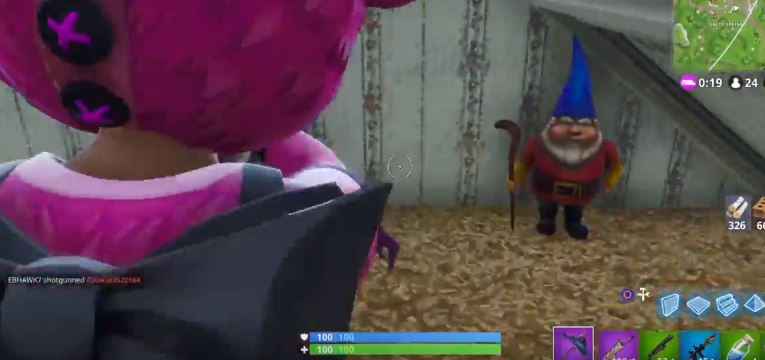 Salty Springs Gnome