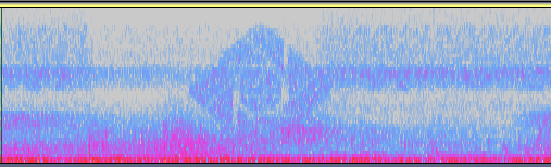 Spectrograph of the snowstorm sound files