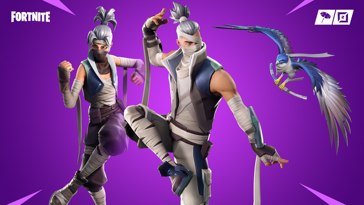 Falcon Glider and Bandage Wrap