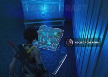 Collect Cat Food Fortnite Locations
