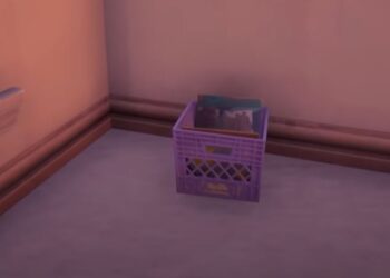 Collect Records from Pleasant Park or Craggy Cliffs