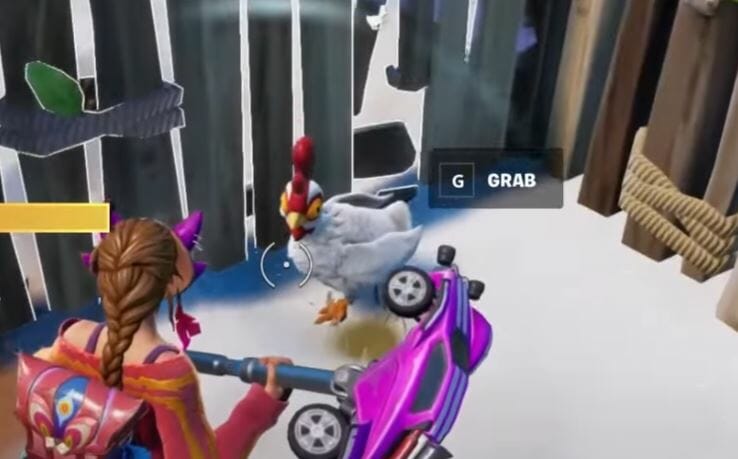 Fly with a chicken
