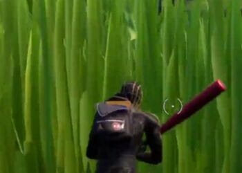 Hide In Stealth Grass For 10 Seconds Fortnite