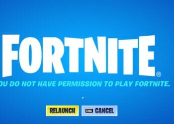 What does You Do Not Have Permission to Play Fortnite Mean