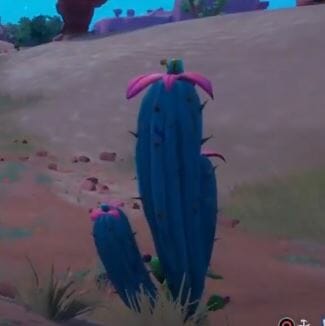 Cactus Plants Fortnite