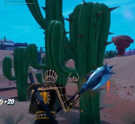 Different Types of Cactus Plants Fortnite