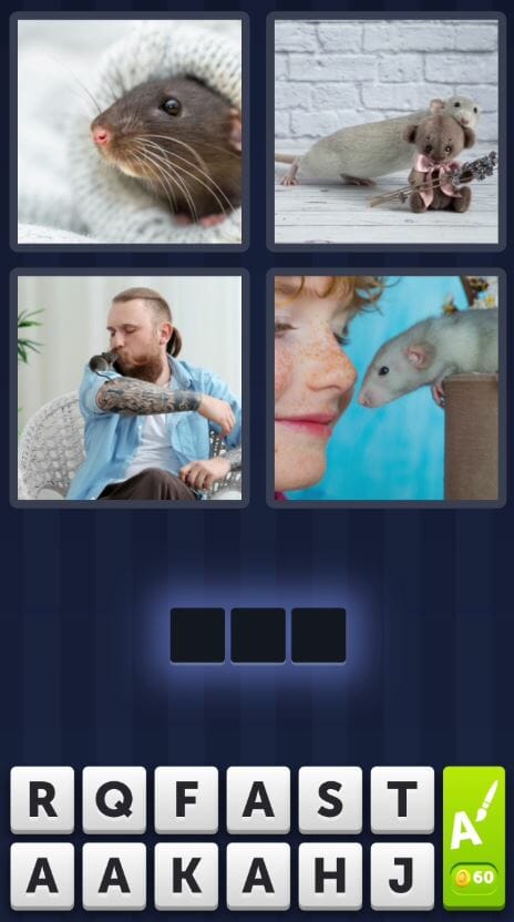 4 Pics 1 Word Daily - 8th February 2022