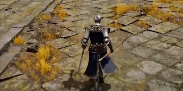 Elden Ring is there Co-Op Multiplayer How does it work