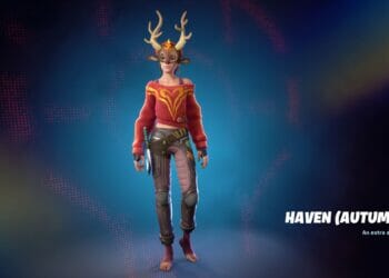 Fortnite Haven Mask Styles