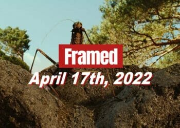 Framed 37 Movie - April 17, 2022
