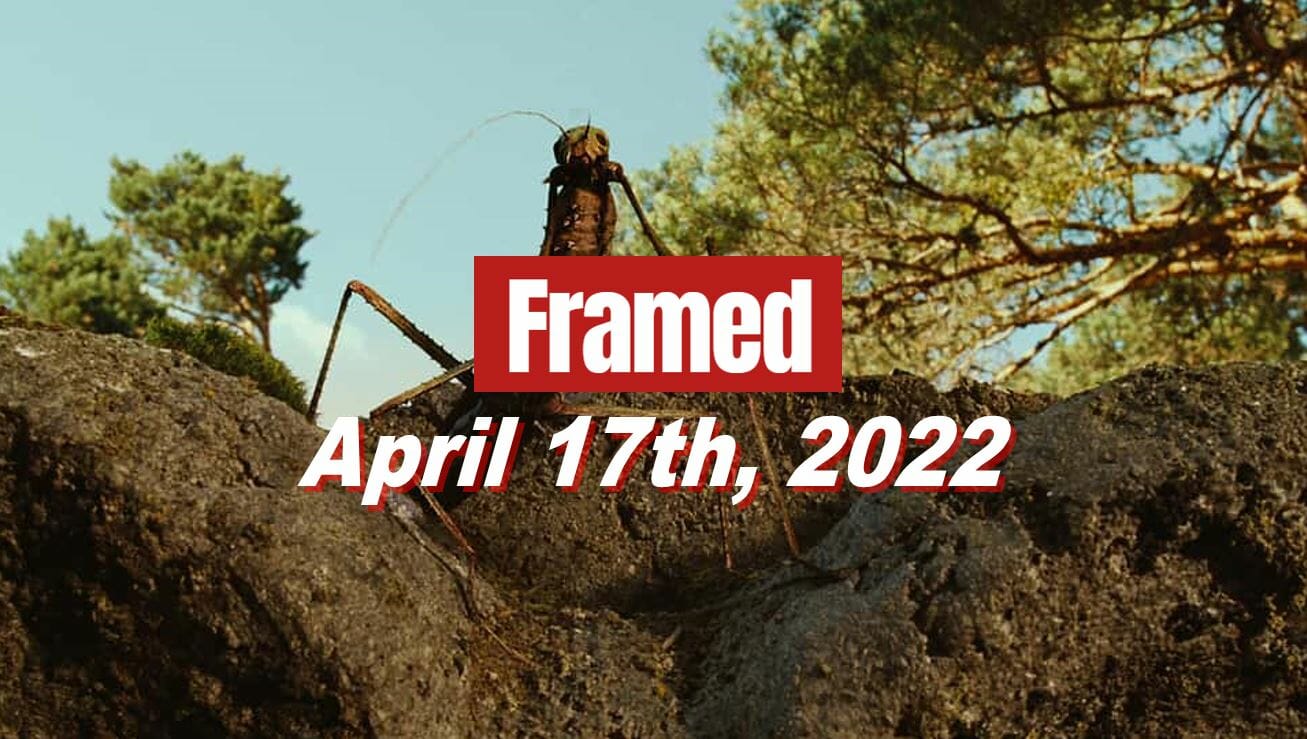 Framed 37 Movie - April 17, 2022