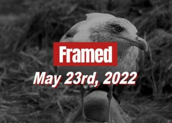 Framed 73 Movie - May 23, 2022