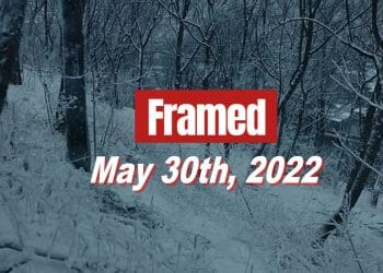 Framed 80 Movie - May 30, 2022