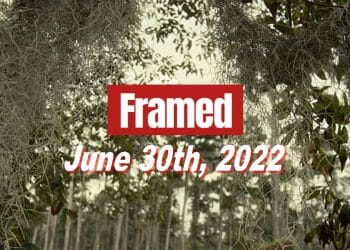 Daily Framed 111 Movie - June 30, 2022