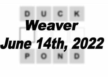 Daily Weaver - 14th June 2022