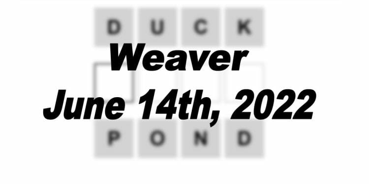Daily Weaver - 14th June 2022