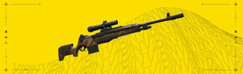 Designated Marksman Rifle DMR Fortnite
