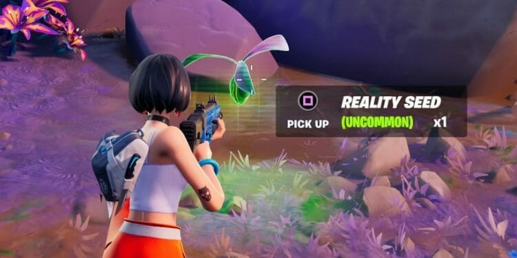 Fortnite Reality Seed