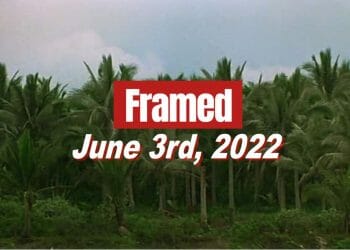 Framed 84 Movie - June 3, 2022