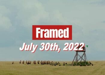 Daily Framed 141 Movie - July 30, 2022