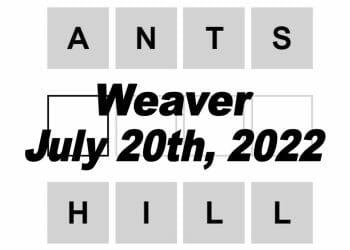 Daily Weaver Answers - 20th July 2022