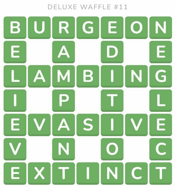 Daily Deluxe Waffle 11 Answer