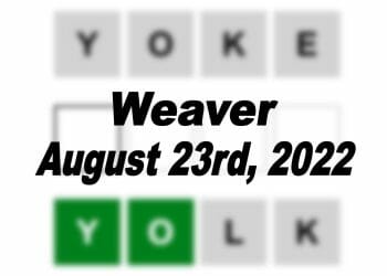 Daily Weaver - 23rd August 2022