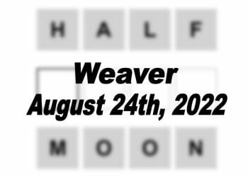 Daily Weaver - 24th August 2022