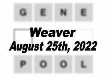 Daily Weaver - 25th August 2022