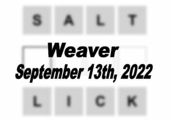 Daily Weaver - 13th September 2022