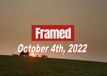 Daily Framed 207 Movie - October 4, 2022