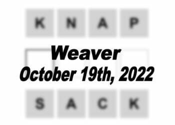 Daily Weaver - 19th October 2022