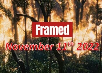 Daily Framed 245 Movie - November 11, 2022