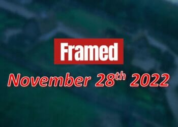 Daily Framed 262 Movie - November 28, 2022