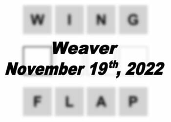 Daily Weaver - 19th November 2022