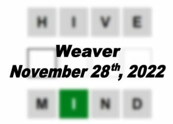 Daily Weaver - 28th November 2022