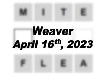 Daily Weaver - 16th April 2023