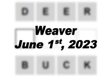 Daily Weaver - 1st June 2023