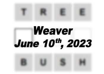 Daily Weaver - 10th June 2023