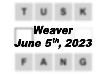 Daily Weaver - 5th June 2023