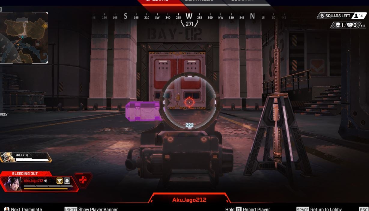 Wraith Knocked Kill