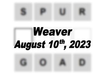 Daily Weaver Answers - 10th August 2023