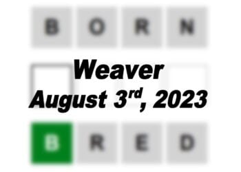 Daily Weaver Answers - 3rd August 2023
