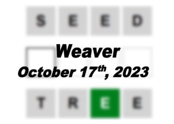 Daily Weaver Answers - 17th October 2023
