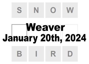 Daily Weaver Answers - 20th January 2024