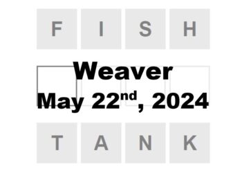 Daily Weaver Answers - 22nd May 2024