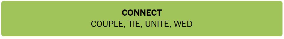 Daily NYT Connections 384 Solution - 29th June 2024