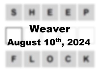 Daily Weaver Answers - 10th August 2024