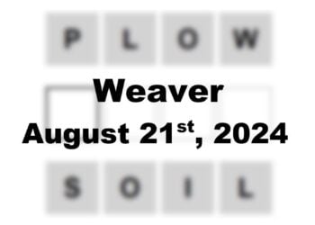 Daily Weaver Answers - 21st August 2024